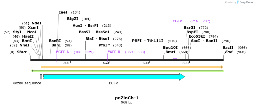 127753_map