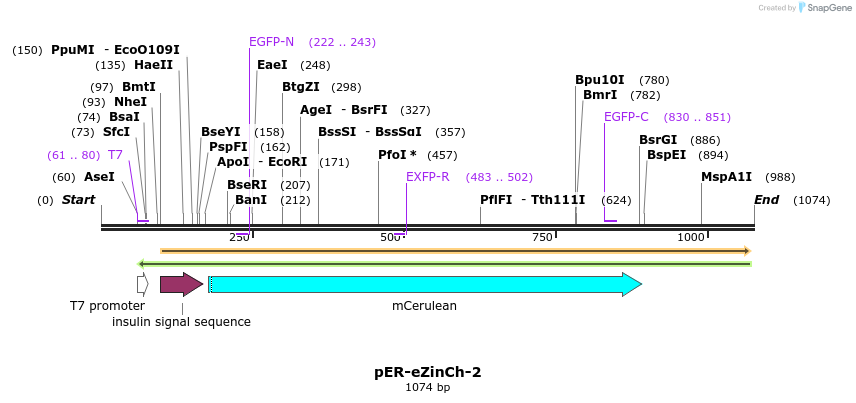 127755_map