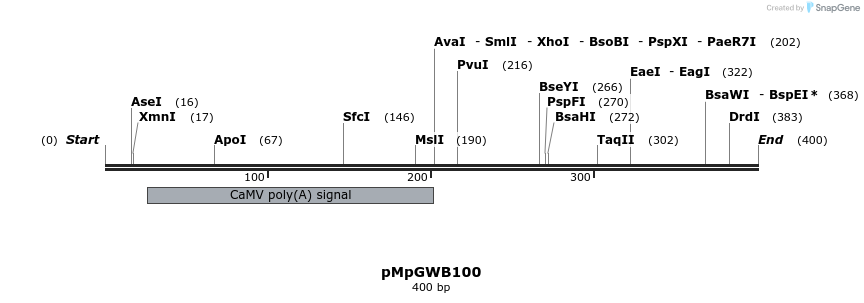127779_map
