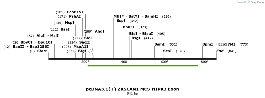 127783_map