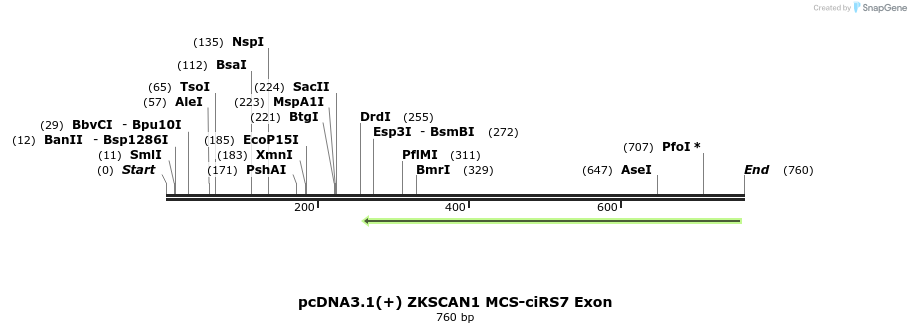 127785_map