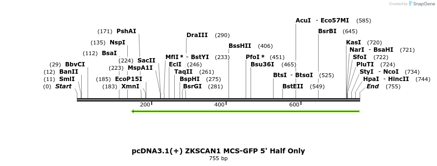 127786_map