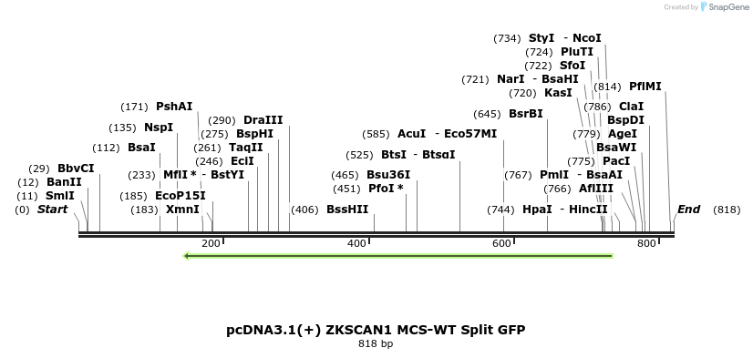 127788_map