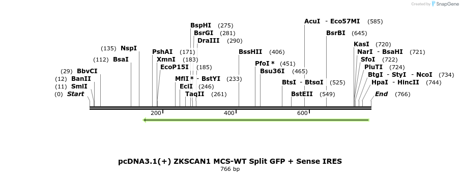 127790_map