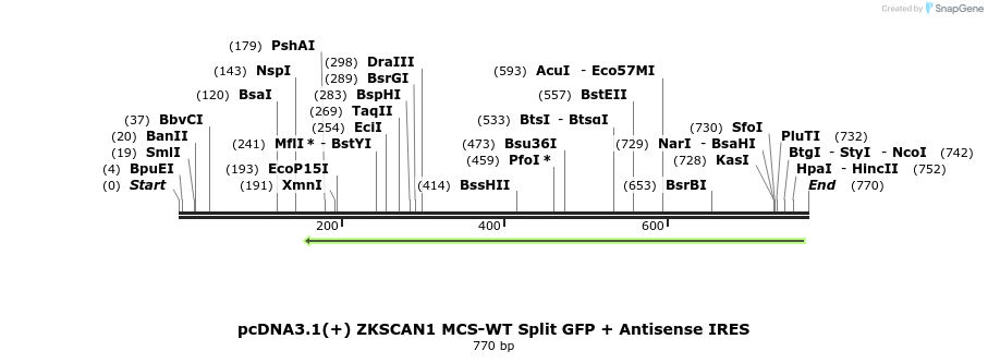 127792_map