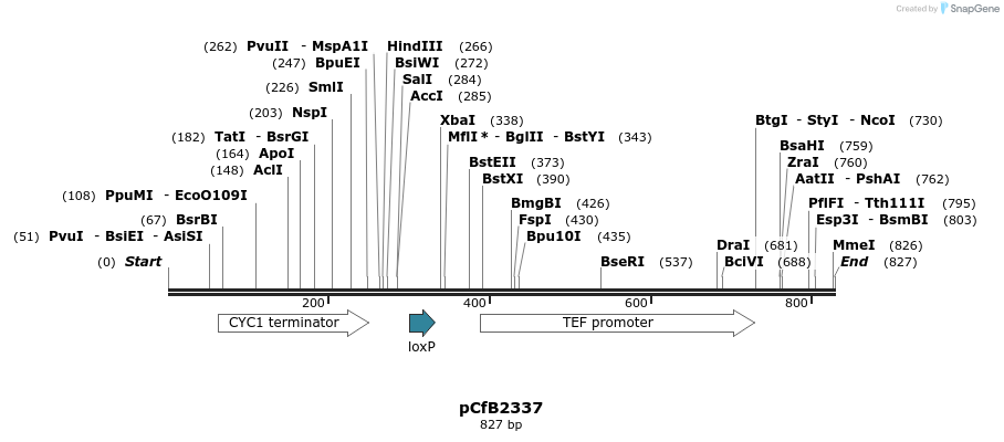 127799_map