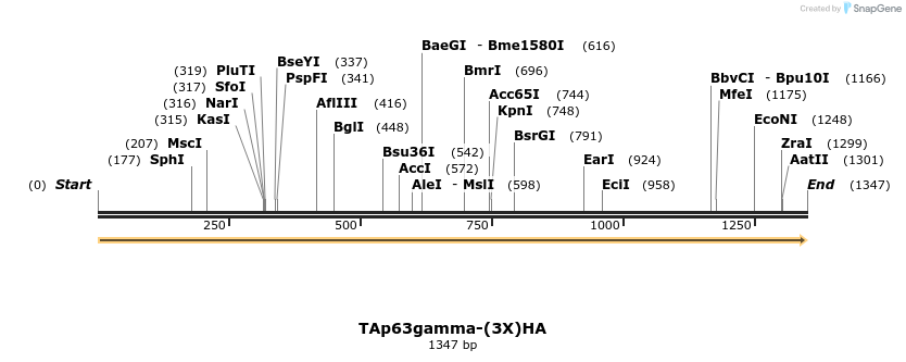 12780_map