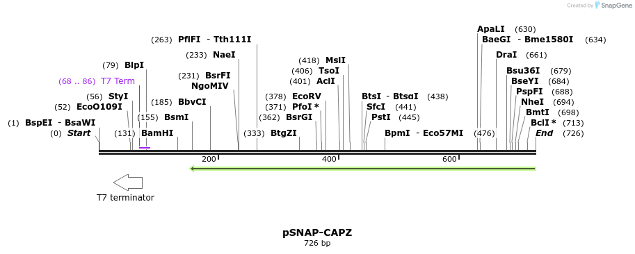 127800_map