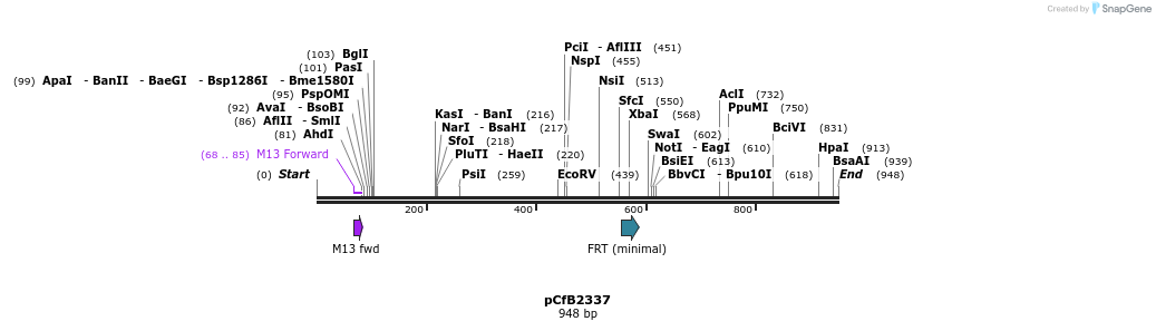 127801_map