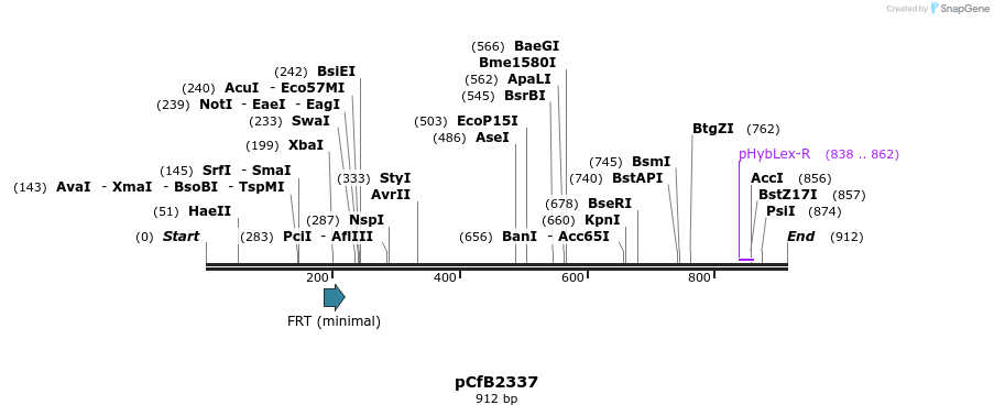127803_map