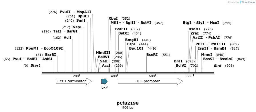 127804_map