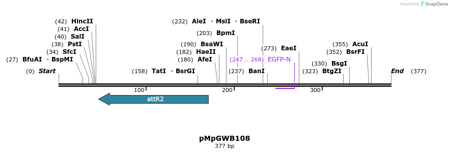 127811_map