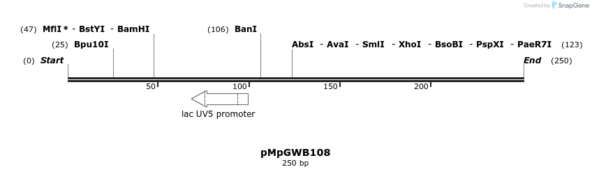 127812_map