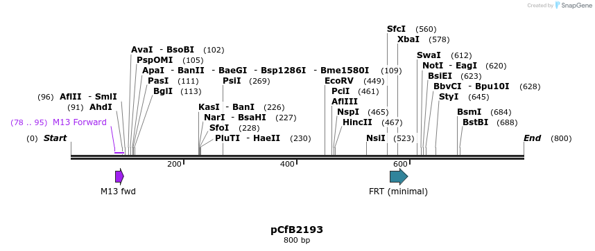 127816_map
