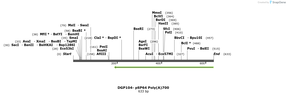 127819_map
