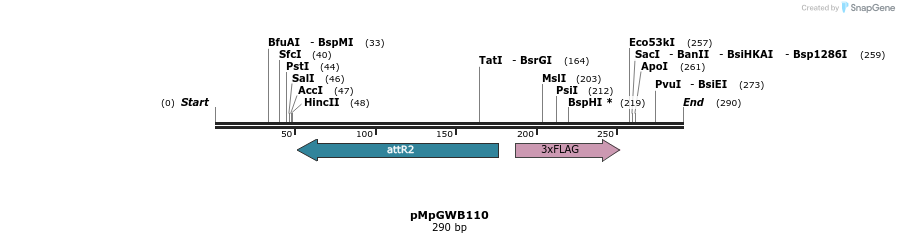 127820_map
