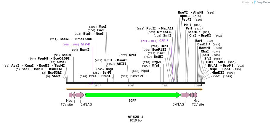 127822_map