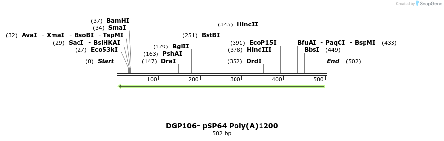 127827_map
