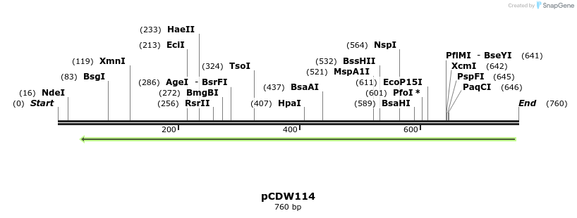 127829_map