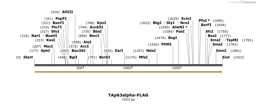 12783_map