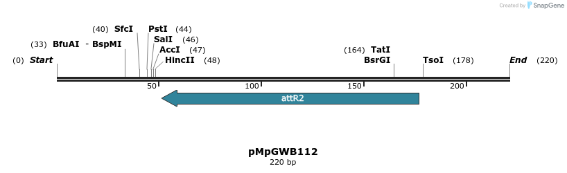 127830_map