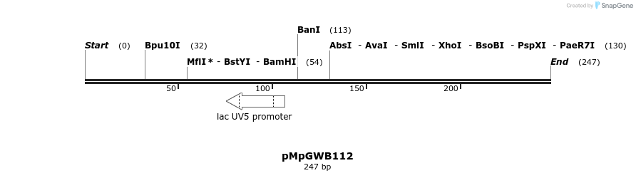 127832_map