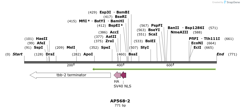 127834_map