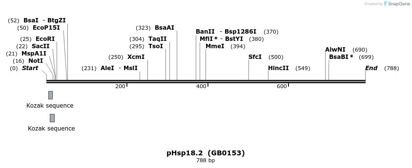 127836_map