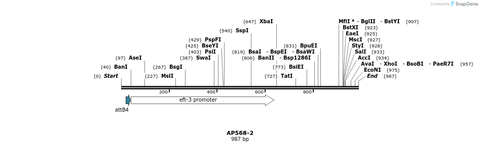127837_map