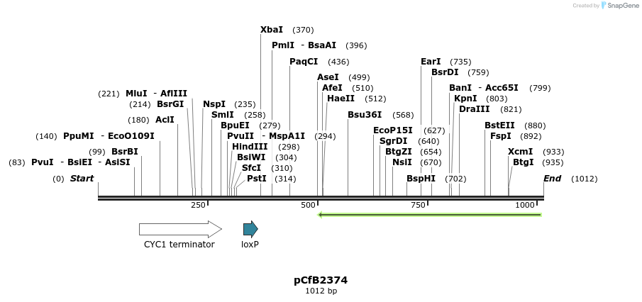 127840_map