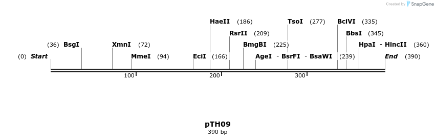 127843_map