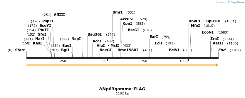 12785_map