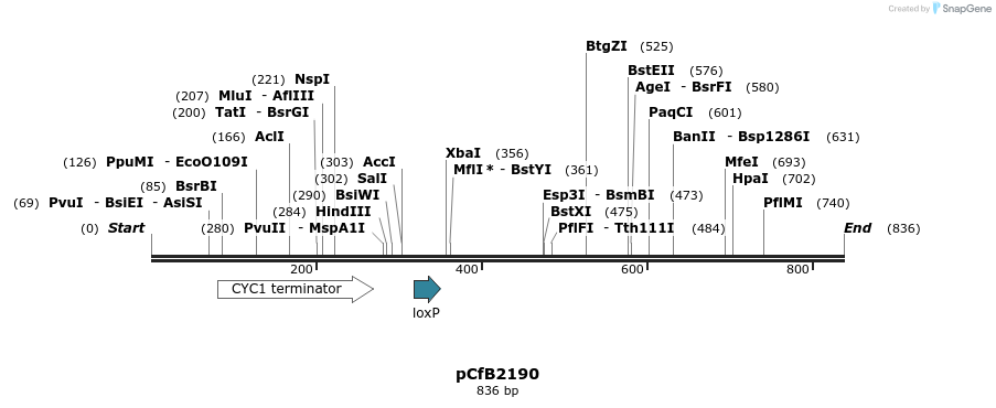 127850_map