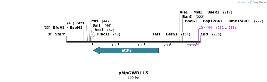 127851_map