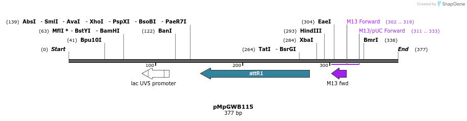 127852_map