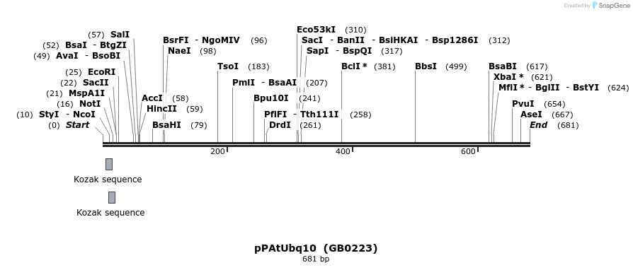 127854_map