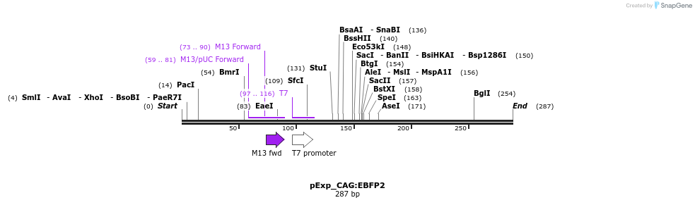 127855_map
