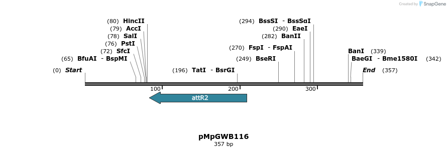 127856_map