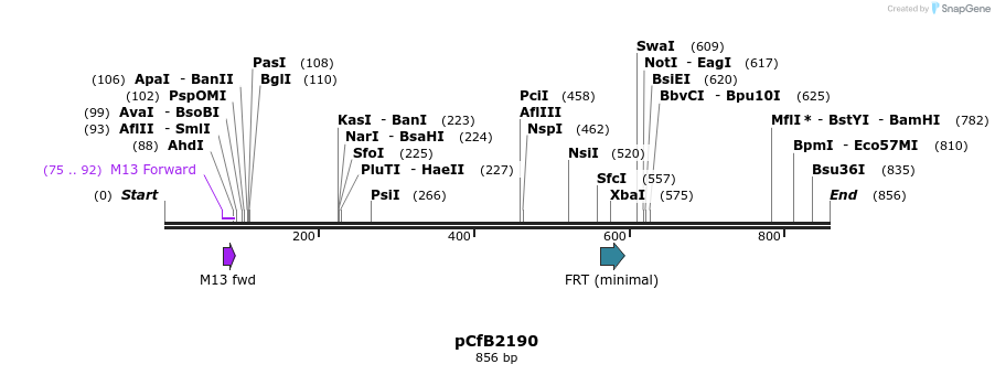 127861_map