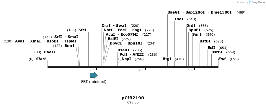 127863_map