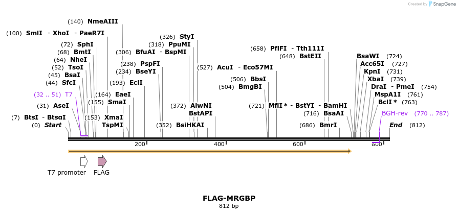 127866_map