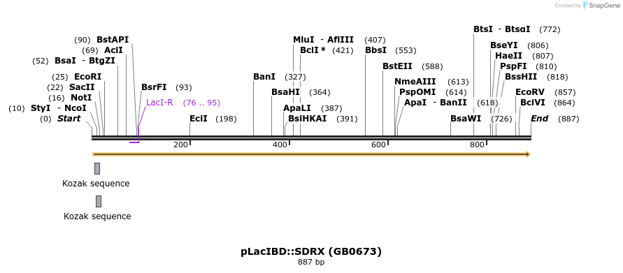 127868_map
