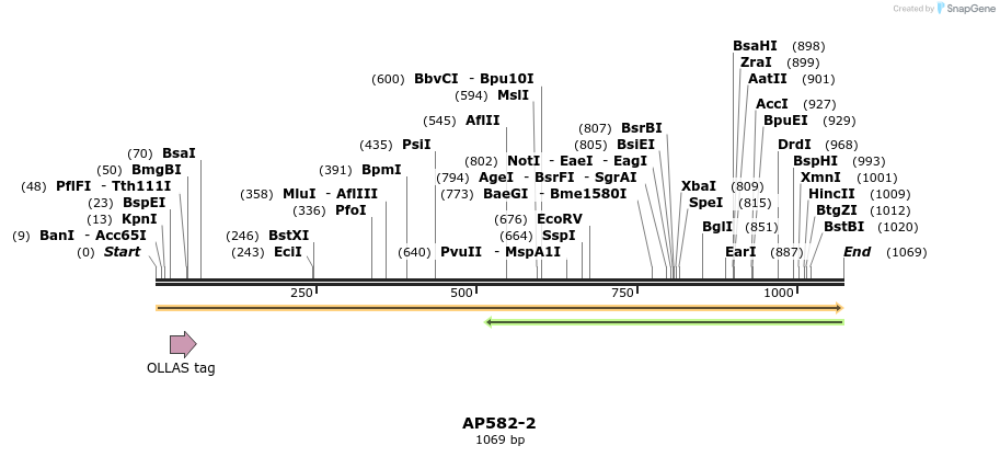127875_map
