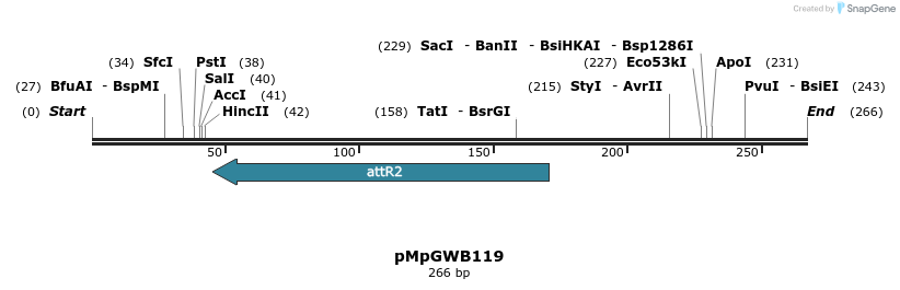 127881_map