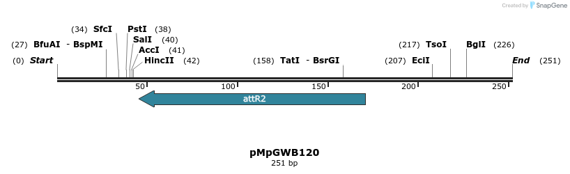 127888_map