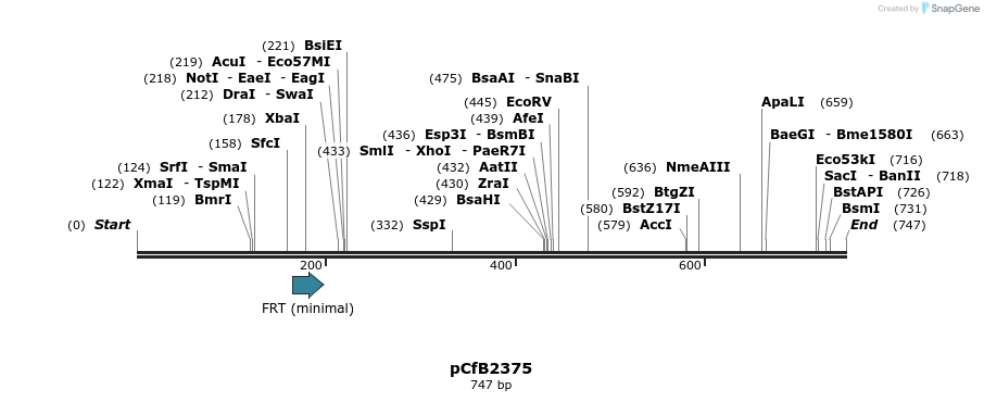 127889_map