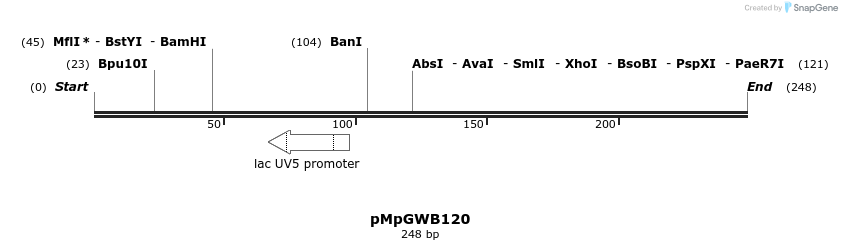 127890_map