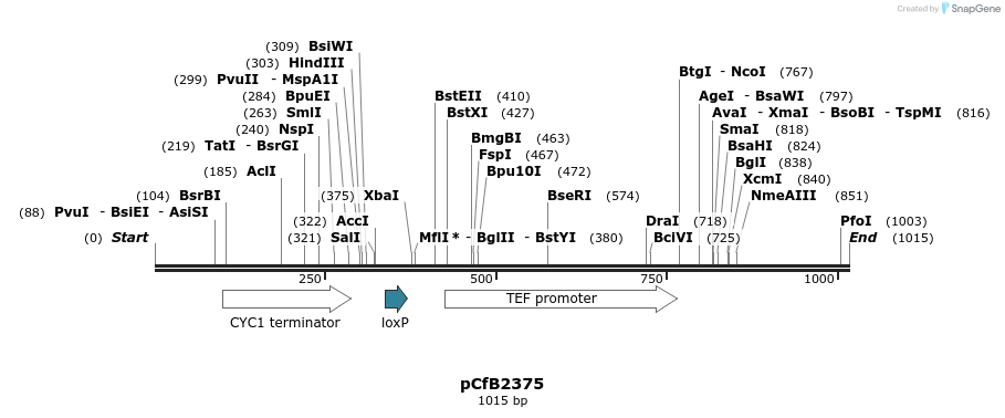 127891_map