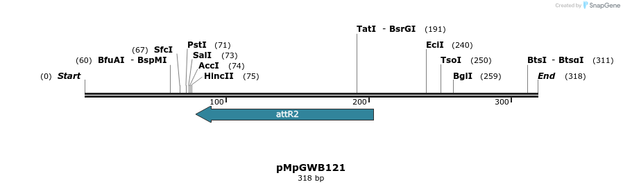 127894_map