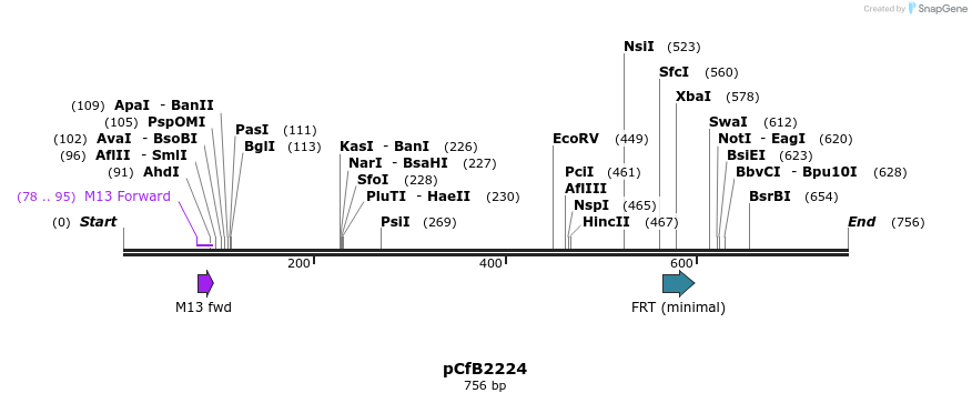 127897_map